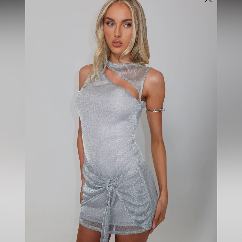 Tiger Mist Silver Mini Dress